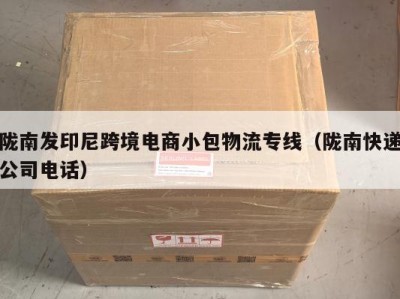 陇南发印尼跨境电商小包物流专线（陇南快递公司电话）