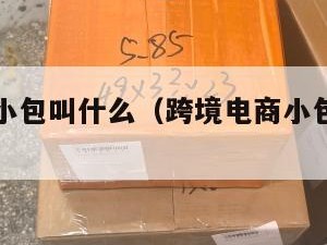 跨境电商小包叫什么（跨境电商小包物流排行）