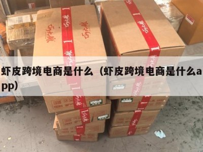 虾皮跨境电商是什么（虾皮跨境电商是什么app）