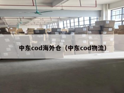 中东cod海外仓（中东cod物流）