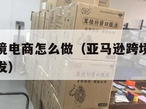 亚马逊跨境电商怎么做（亚马逊跨境电商怎么做一件代发）