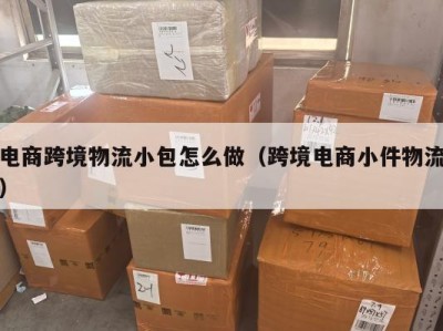 电商跨境物流小包怎么做（跨境电商小件物流）