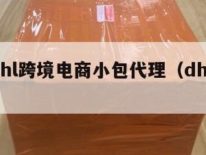 深圳dhl跨境电商小包代理（dhl 深圳）