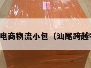 汕尾跨境电商物流小包（汕尾跨越物流电话）