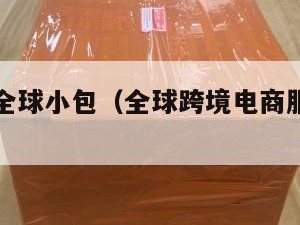 跨境电商全球小包（全球跨境电商服务资源中心）