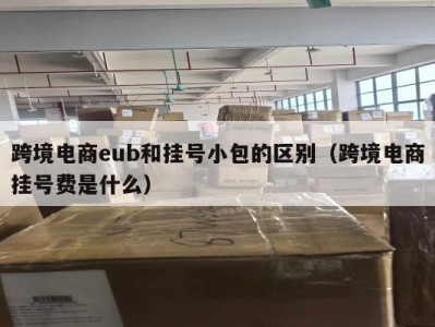 跨境电商eub和挂号小包的区别（跨境电商挂号费是什么）