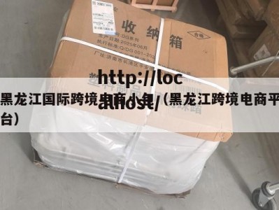 黑龙江国际跨境电商小包（黑龙江跨境电商平台）