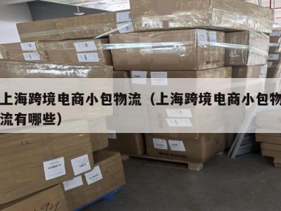 上海跨境电商小包物流（上海跨境电商小包物流有哪些）