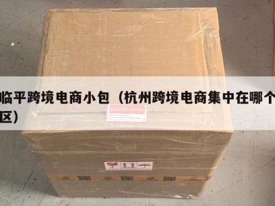临平跨境电商小包（杭州跨境电商集中在哪个区）