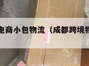 成都跨境电商小包物流（成都跨境物流有哪些）
