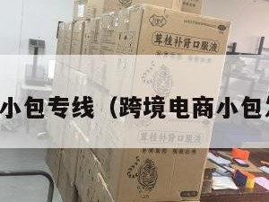跨境电商小包专线（跨境电商小包发货货代）