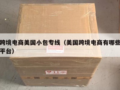 跨境电商美国小包专线（美国跨境电商有哪些平台）