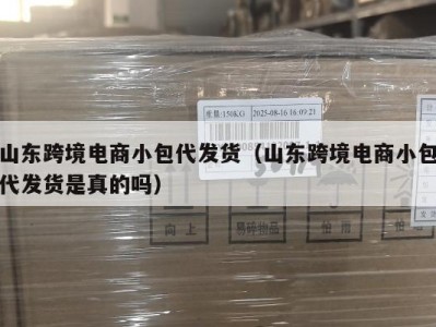 山东跨境电商小包代发货（山东跨境电商小包代发货是真的吗）