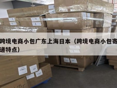 跨境电商小包广东上海日本（跨境电商小包寄递特点）