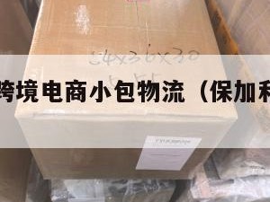 保加利亚跨境电商小包物流（保加利亚快递查询）