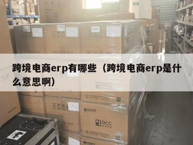 跨境电商erp有哪些（跨境电商erp是什么意思啊）