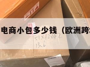欧洲跨境电商小包多少钱（欧洲跨境电商wisecart）