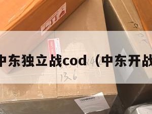 中东独立战cod（中东开战）