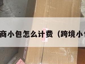跨境电商小包怎么计费（跨境小包价格）