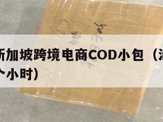 汕尾到新加坡跨境电商COD小包（汕头飞新加坡几个小时）