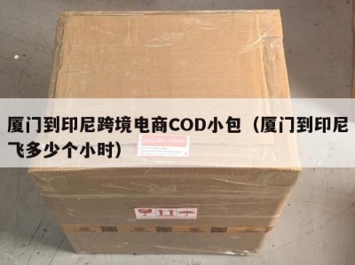 厦门到印尼跨境电商COD小包（厦门到印尼飞多少个小时）