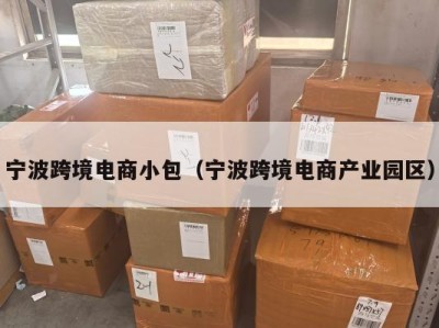 宁波跨境电商小包（宁波跨境电商产业园区）