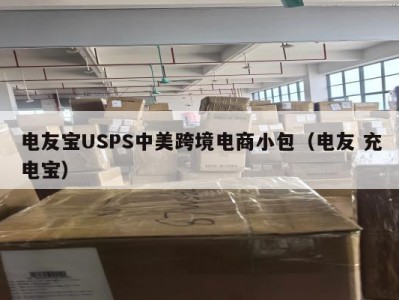 电友宝USPS中美跨境电商小包（电友 充电宝）