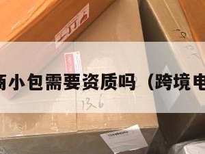 跨境电商小包需要资质吗（跨境电商包包）