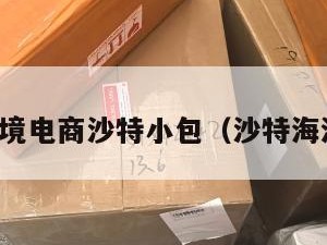 跨境电商沙特小包（沙特海淘）