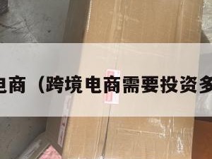 跨境电商（跨境电商需要投资多少钱）