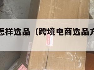 跨境电商怎样选品（跨境电商选品方法有哪些?）
