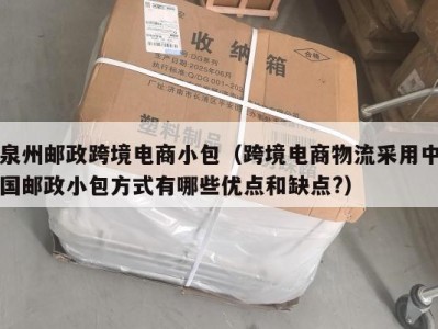 泉州邮政跨境电商小包（跨境电商物流采用中国邮政小包方式有哪些优点和缺点?）