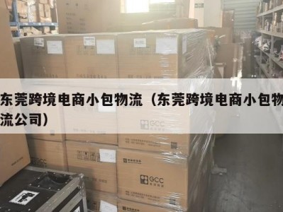 东莞跨境电商小包物流（东莞跨境电商小包物流公司）