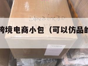 仿牌衣服跨境电商小包（可以仿品的跨境电商平台）