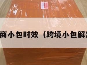 跨境电商小包时效（跨境小包解决方案）