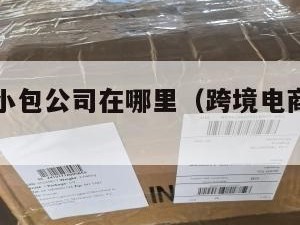 跨境电商小包公司在哪里（跨境电商物流小包专线）