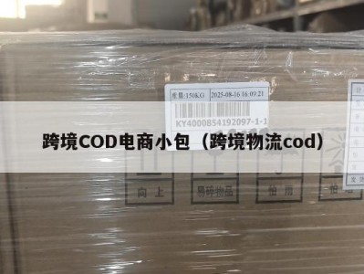 跨境COD电商小包（跨境物流cod）