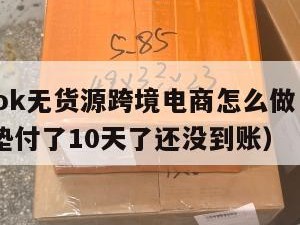 tiktok无货源跨境电商怎么做（tiktok垫付了10天了还没到账）