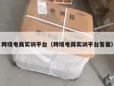 跨境电商实训平台（跨境电商实训平台答案）