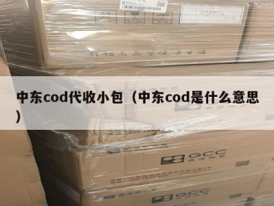 中东cod代收小包（中东cod是什么意思）