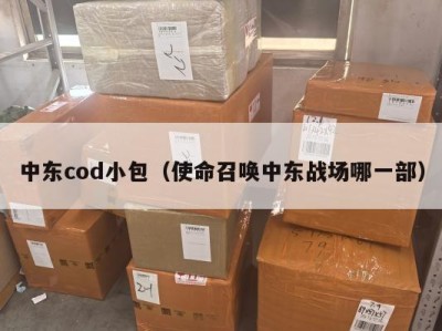 中东cod小包（使命召唤中东战场哪一部）