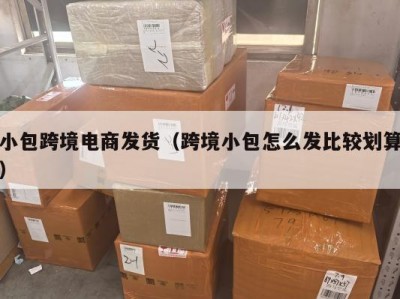 小包跨境电商发货（跨境小包怎么发比较划算）