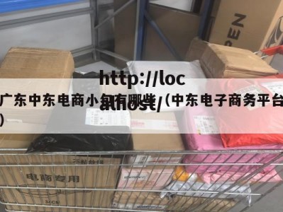 广东中东电商小包有哪些（中东电子商务平台）