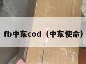 fb中东cod（中东使命）