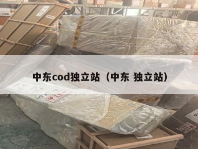 中东cod独立站（中东 独立站）