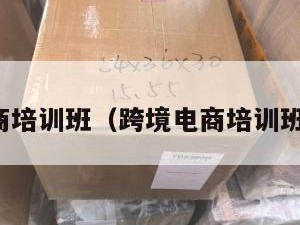 跨境电商培训班（跨境电商培训班后悔了）