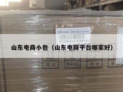 山东电商小包（山东电商平台哪家好）