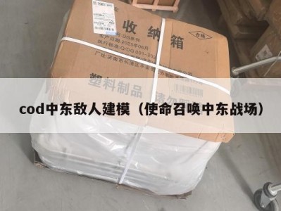 cod中东敌人建模（使命召唤中东战场）