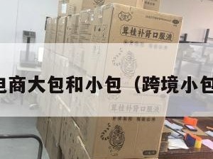 跨境电商大包和小包（跨境小包价格）