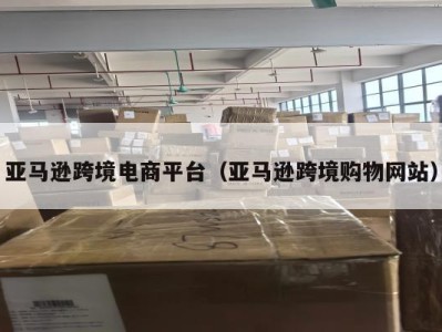 亚马逊跨境电商平台（亚马逊跨境购物网站）